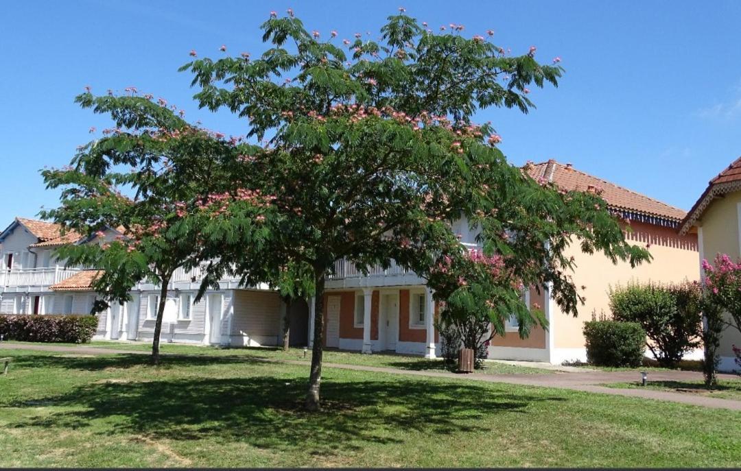 Appartement Au Calme Face Au Lac Marciac Exteriér fotografie